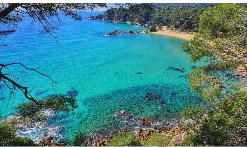 Seahomes Vacations, Beach&Pool, In Fenals Beach Lloret de Mar Dış mekan fotoğraf